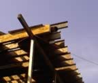 20030323-11.jpg (36kb)