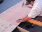 2003052341.jpg (55kb)