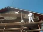 plasterscratchcoat535.jpg (59kb)
