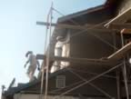 plasterscratchcoat540.jpg (44kb)
