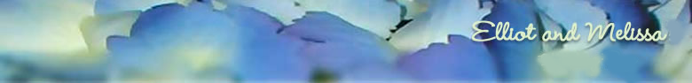 My Pictures