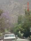 fd2002debby395f.jpg (86kb)