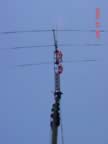 fd2002debby420f.jpg (27kb)